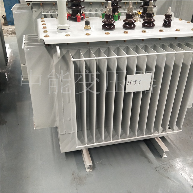 珠晖S20-500KVA油浸式变压器